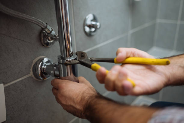 Best Residential Plumbing Services  in Garden City, MI